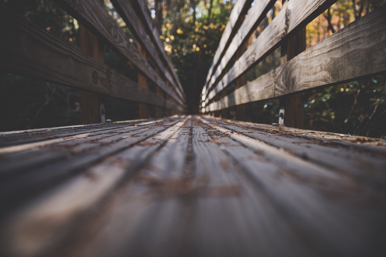 wooden bridge pathway free photo