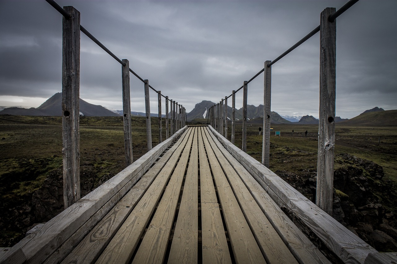 wooden path bridge free photo