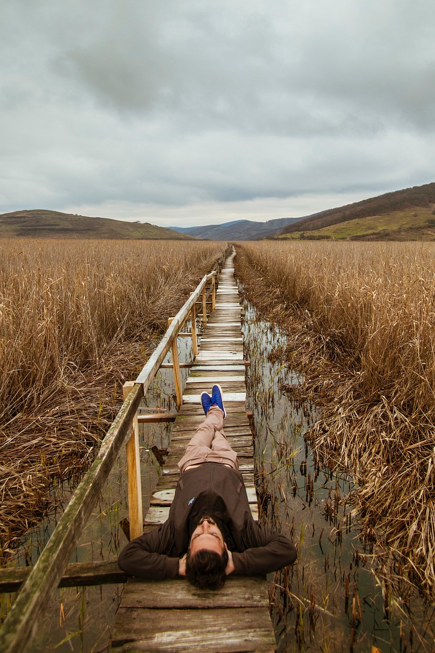 wooden bridge path free photo