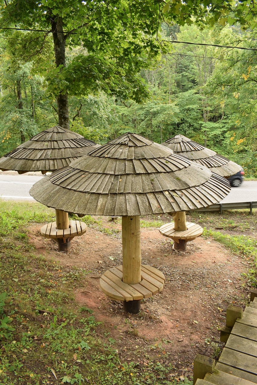 wooden umbrellas table free photo
