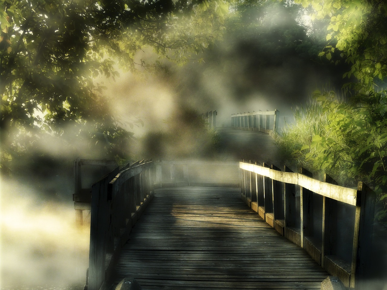 wooden bridge sunny free photo