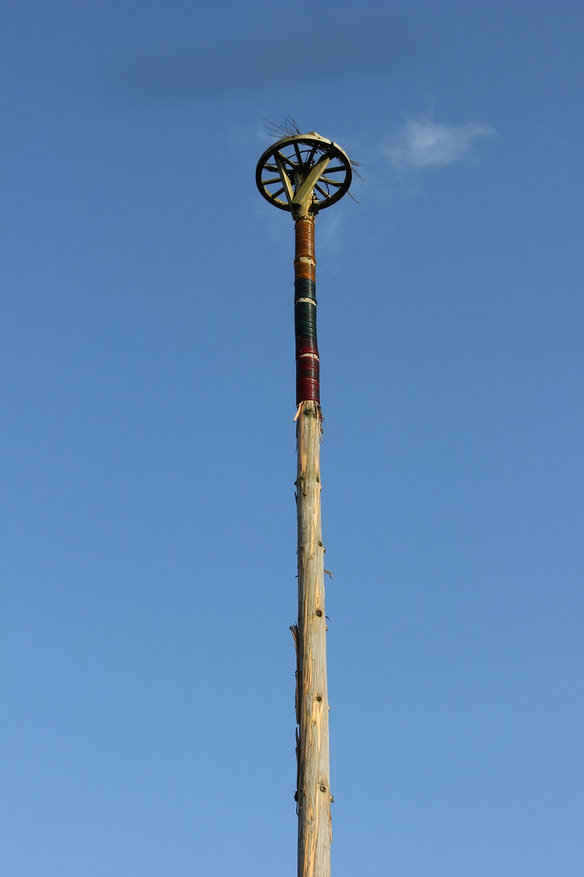 wooden stork nest free photo