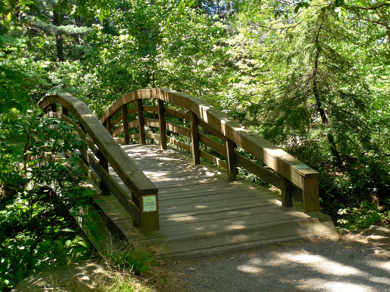 wooden bridge nature free photo