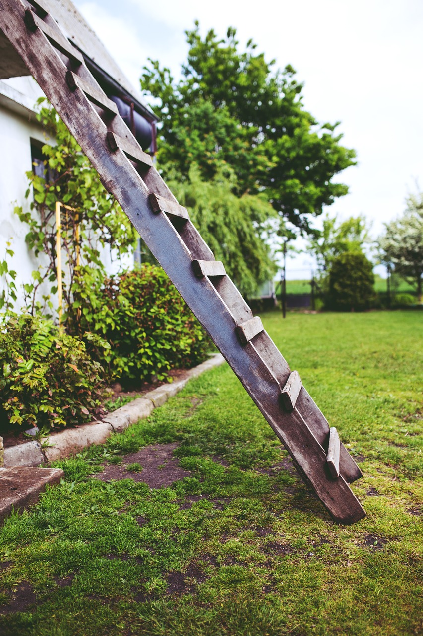 wooden wood ladder free photo