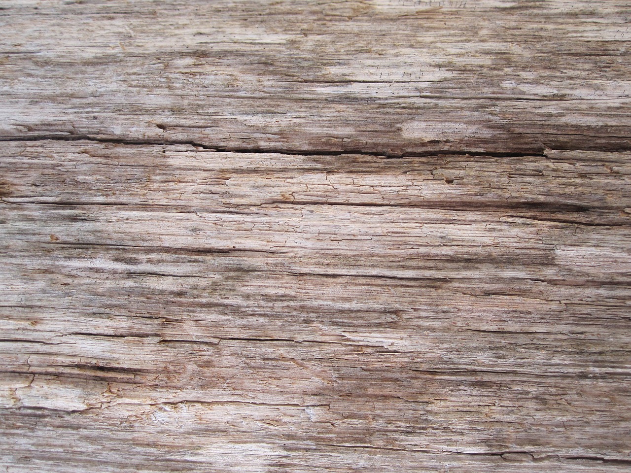 wooden surface texture free photo