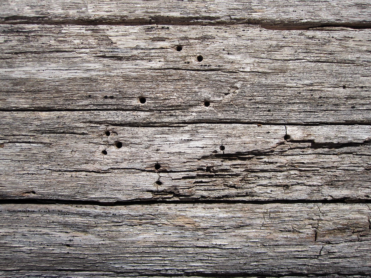 wooden surface texture free photo
