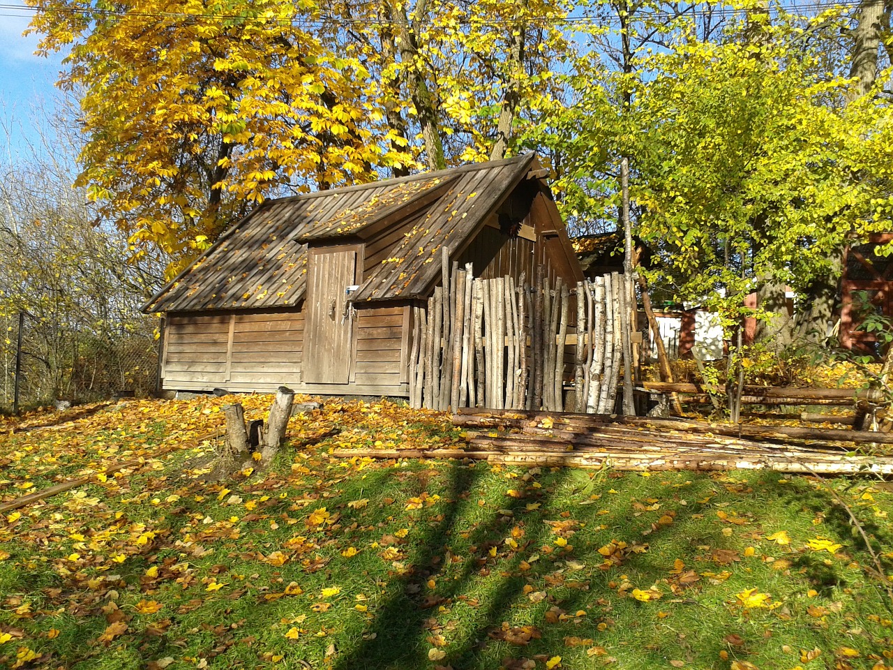 wooden hut woods free photo