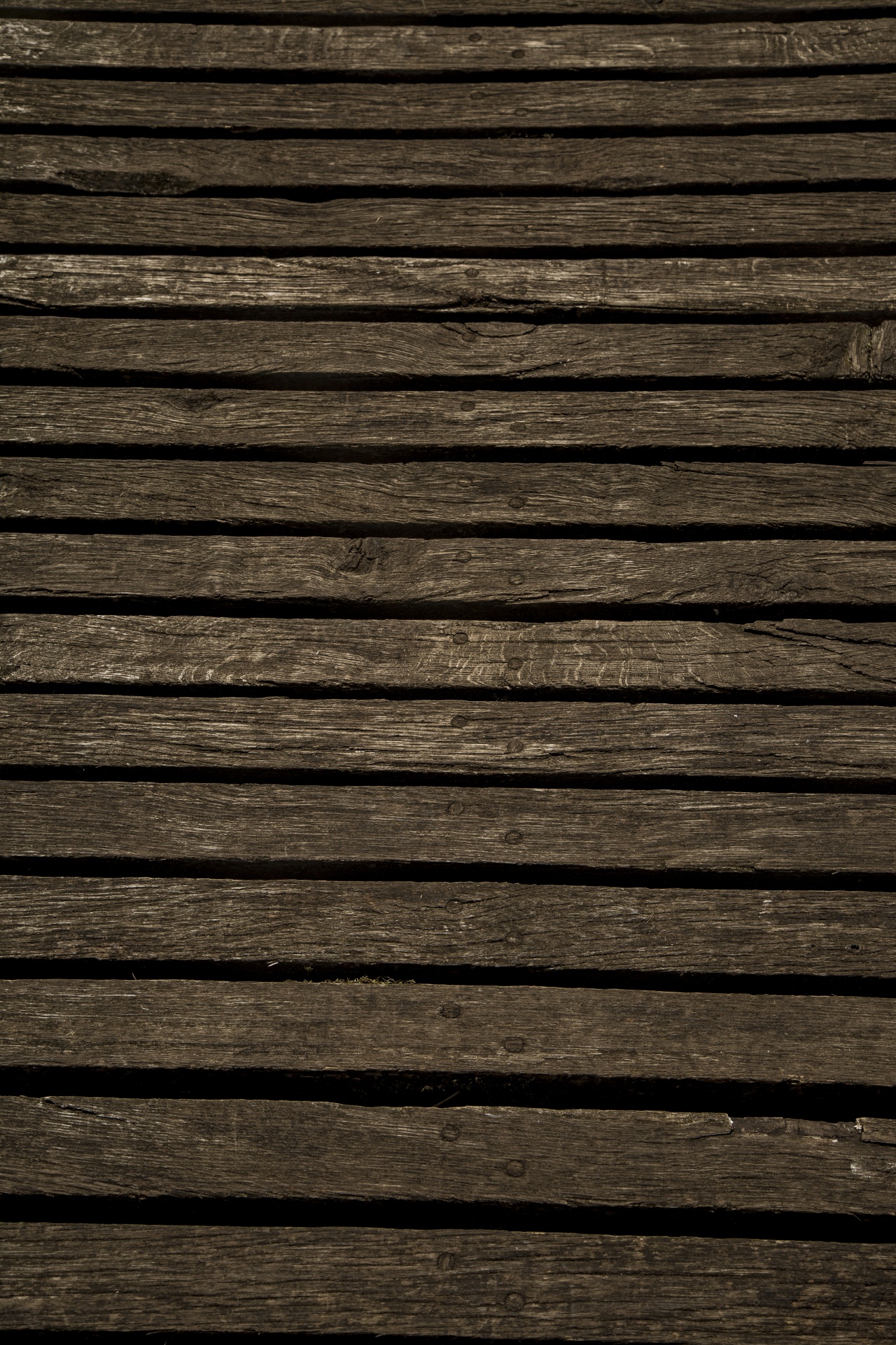 wooden wood background free photo