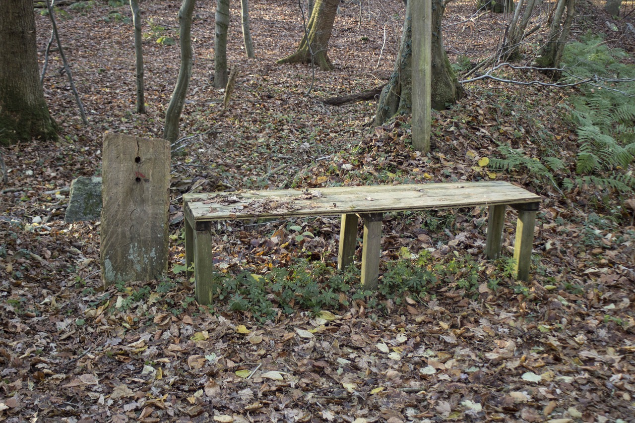 wooden bench bank nature free photo