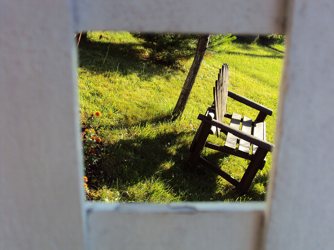 country backyard bench free photo