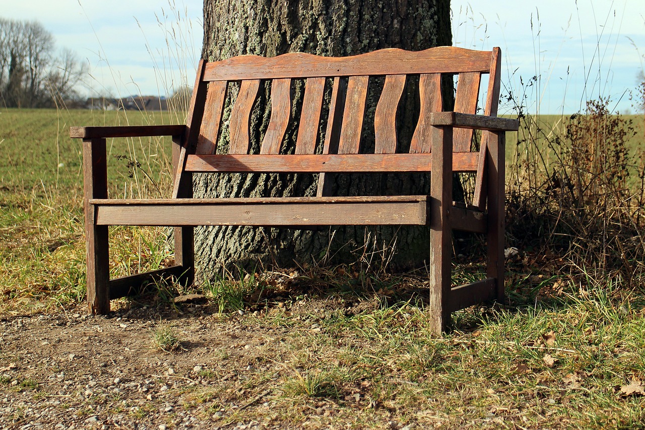 wooden bench bench bank free photo
