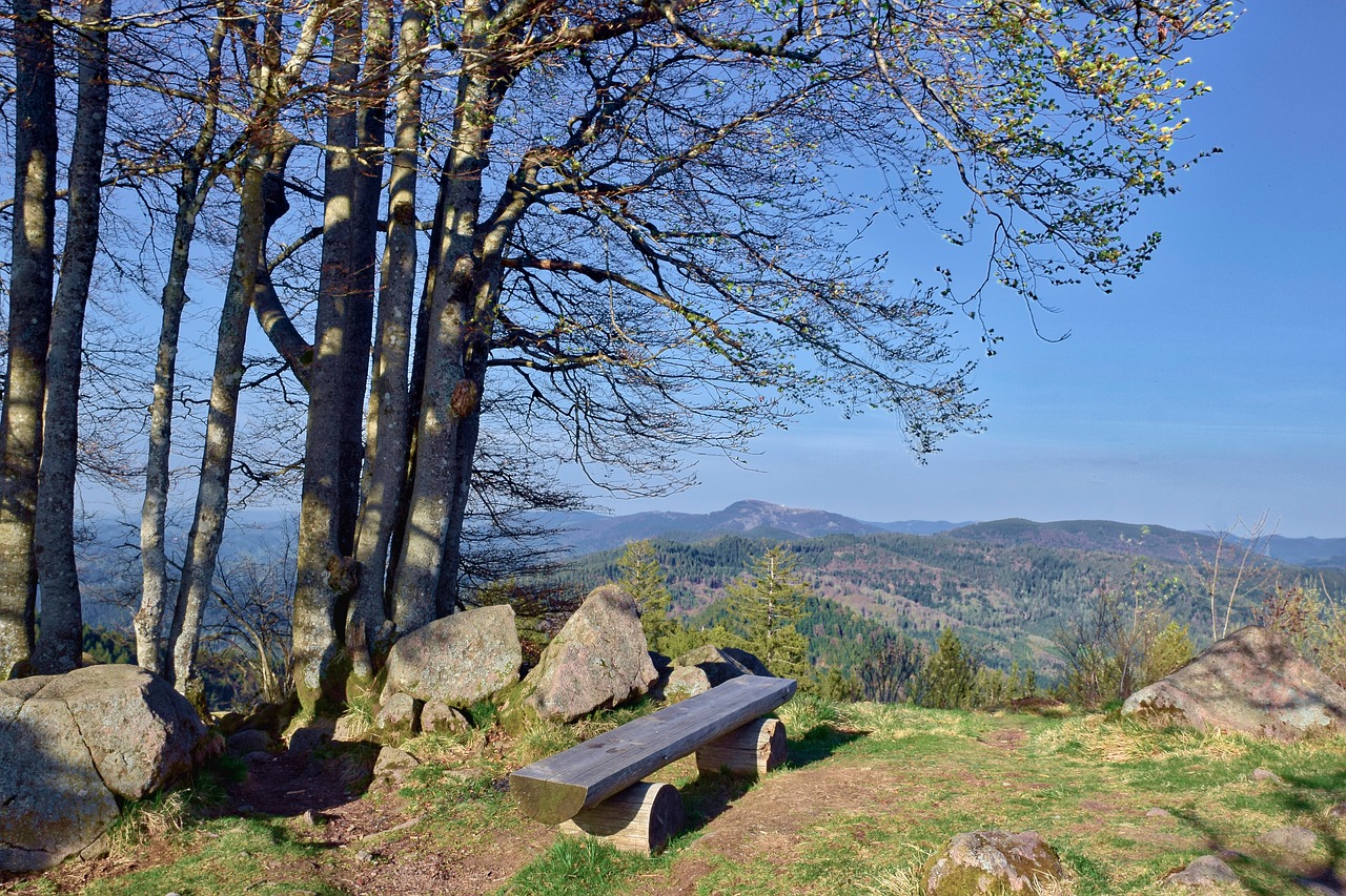 wooden bench  park bench  look further free photo