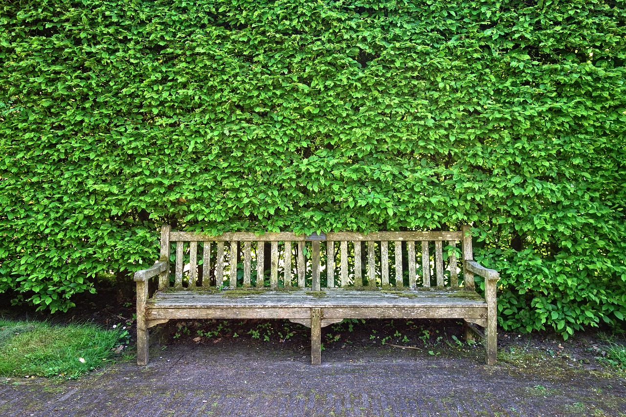 wooden bench  bench  seat free photo