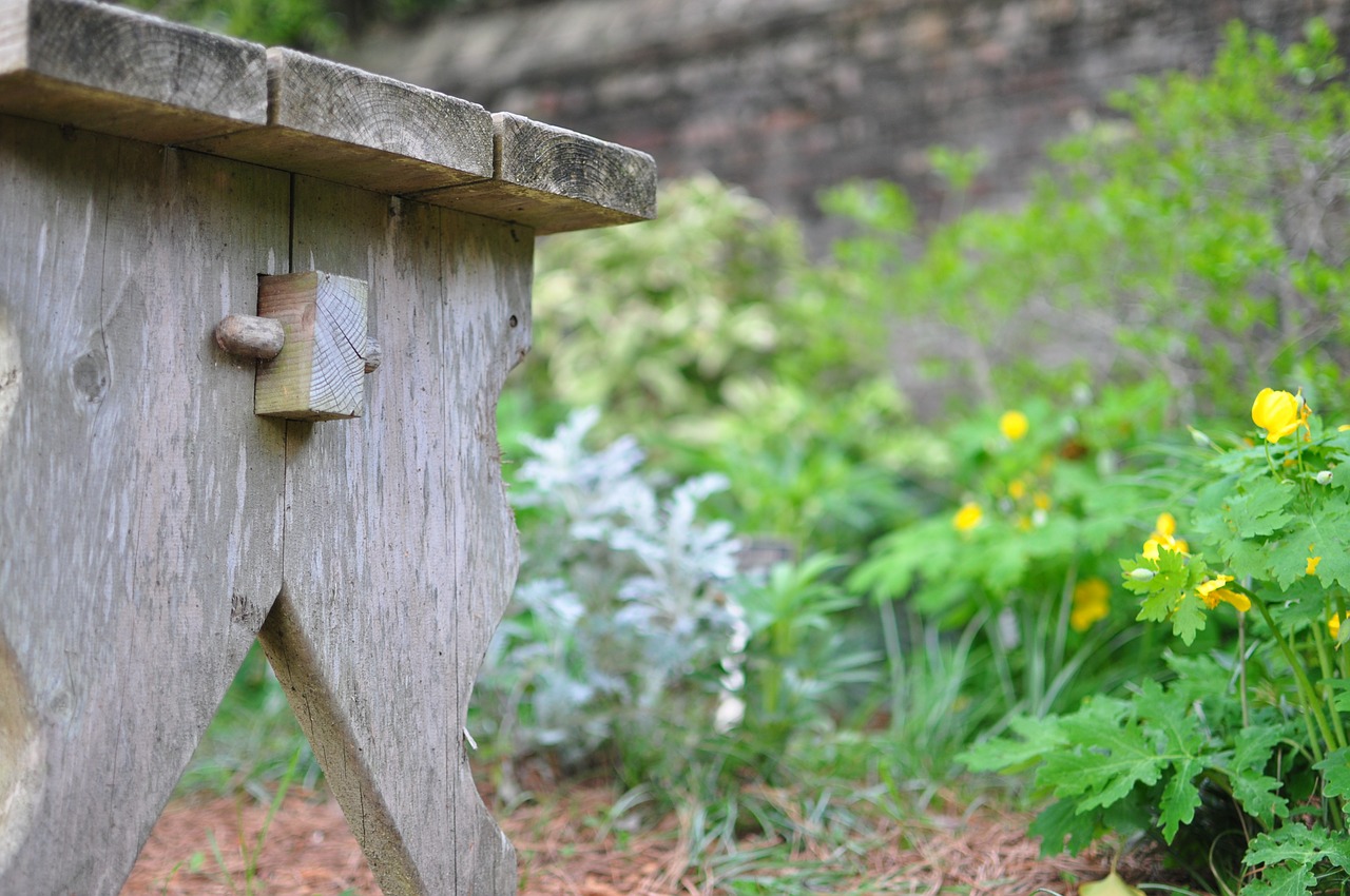 wooden bench seat garden free photo