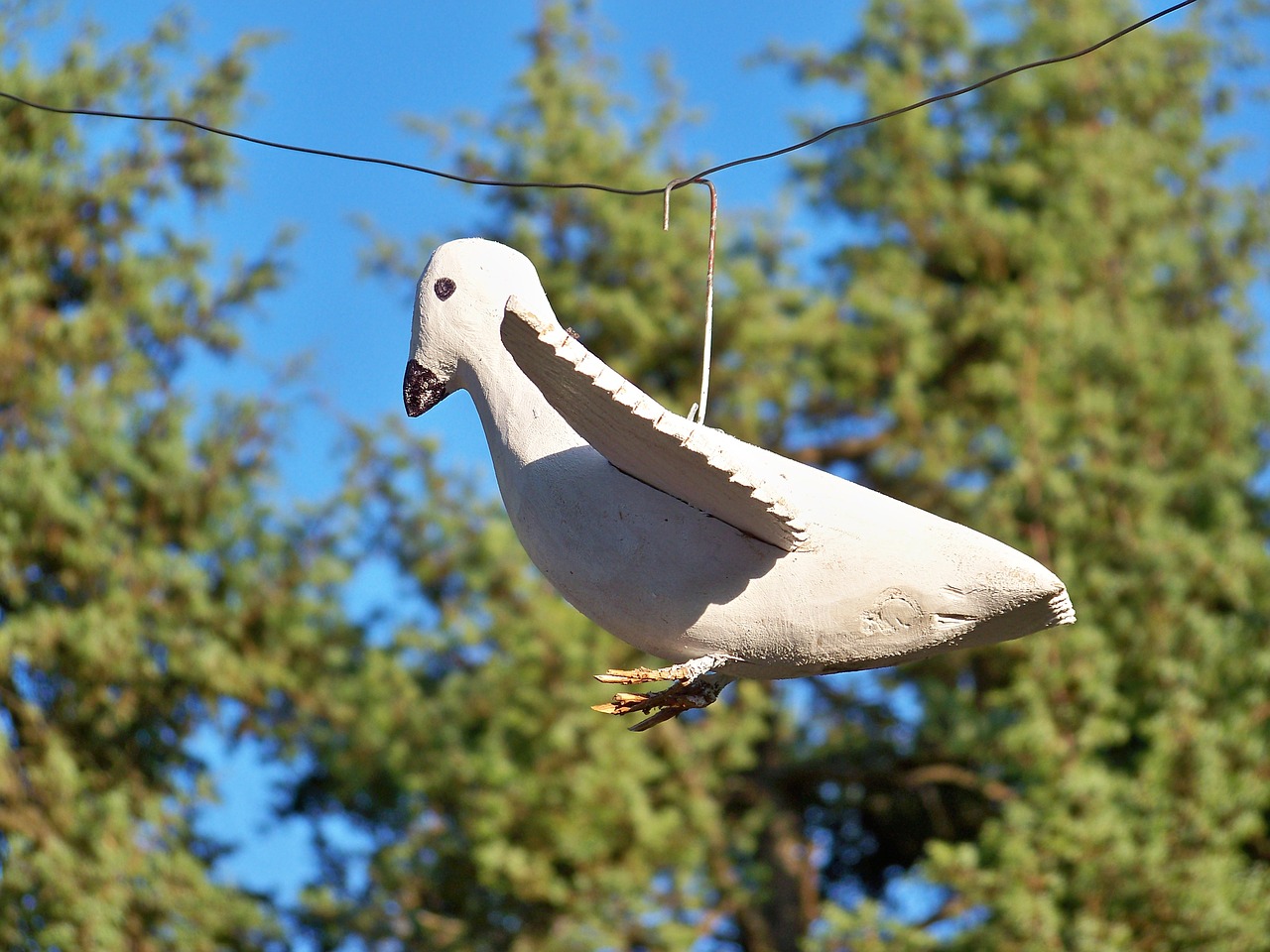 wooden bird wood popular free photo