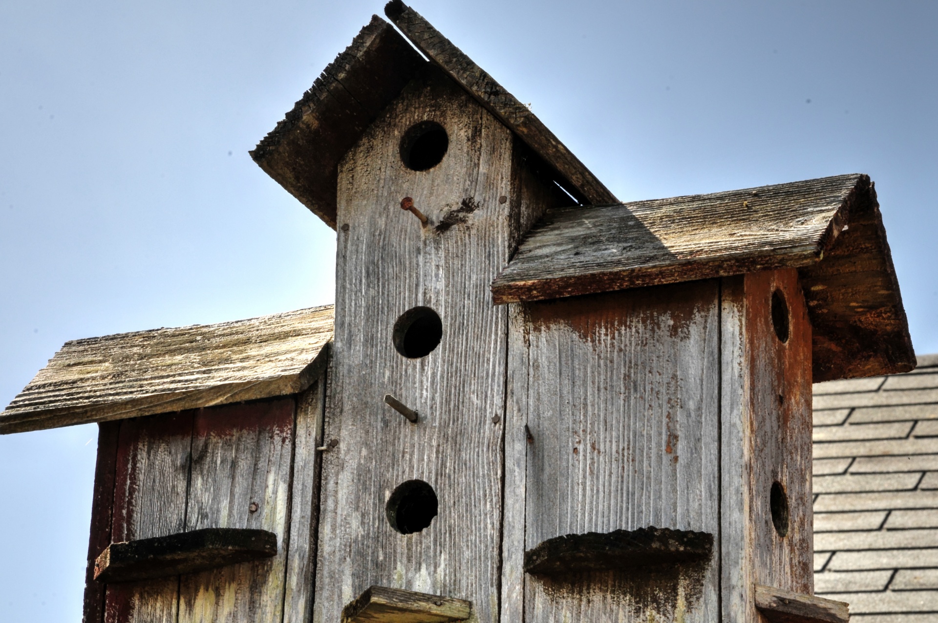 birdhouse bird wood free photo