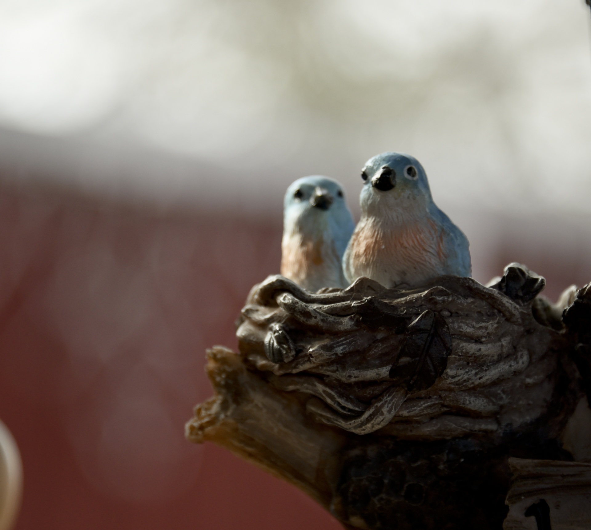 birds wooden bird free photo