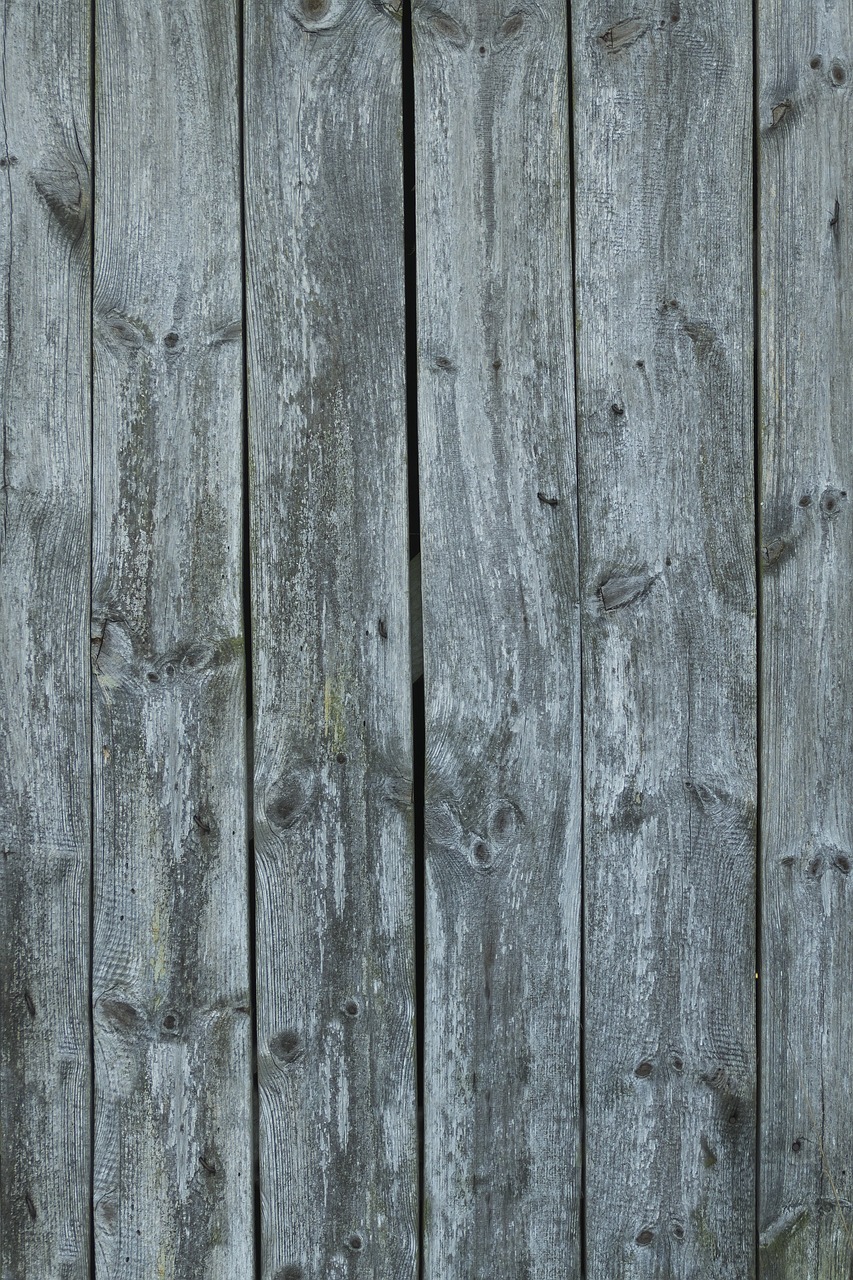 wooden boards  boards  wooden gate free photo