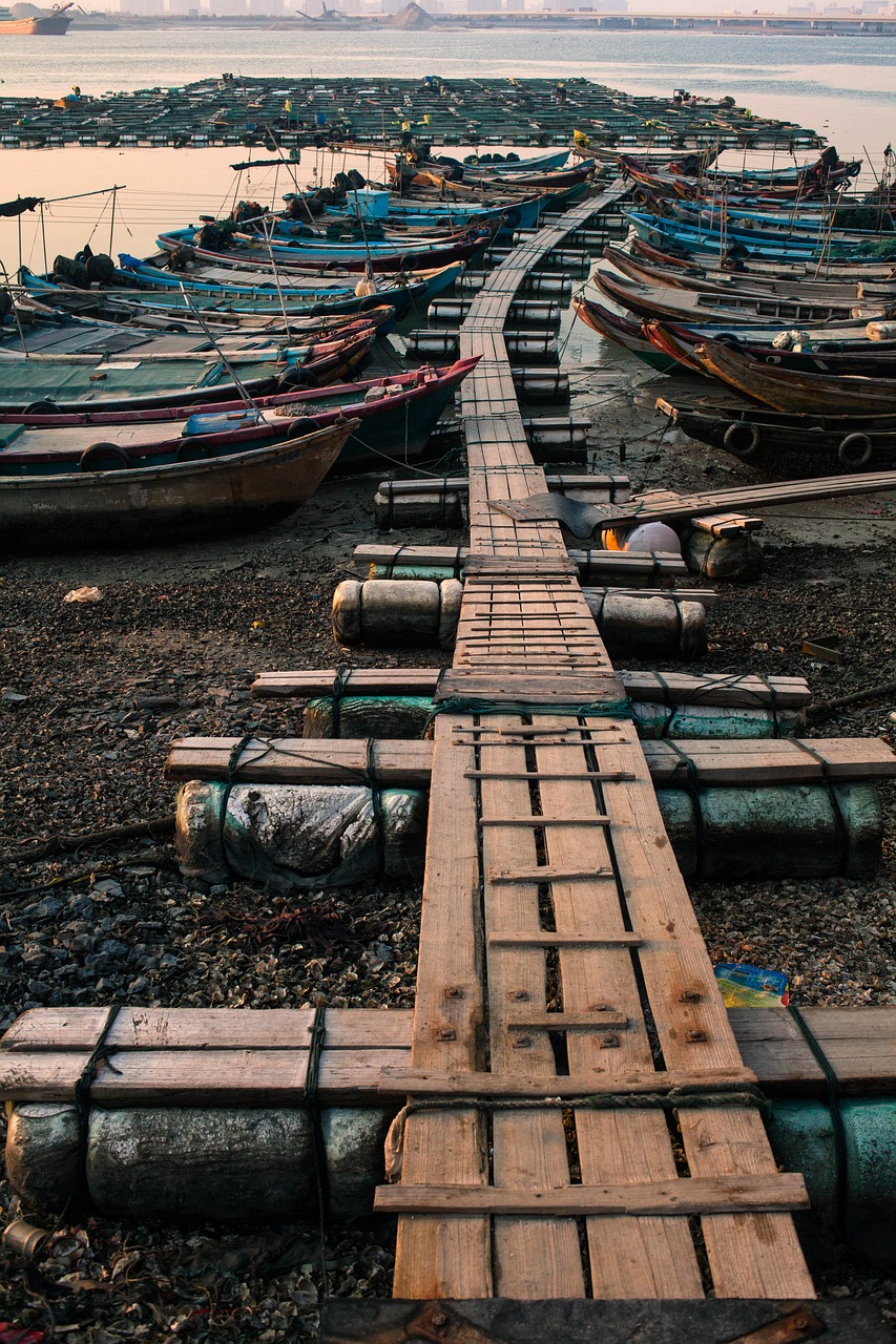 wooden boat sea fishing boats free photo