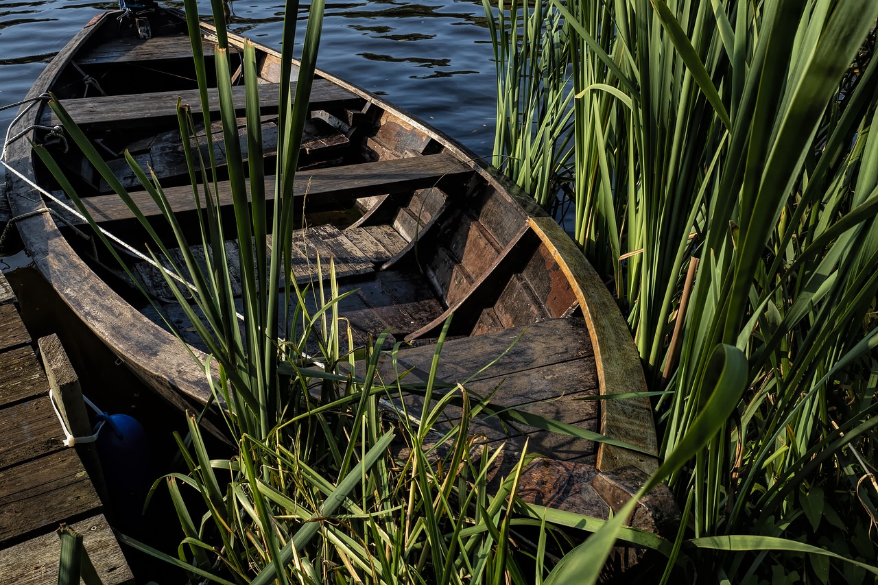 wooden boat  boat  water free photo