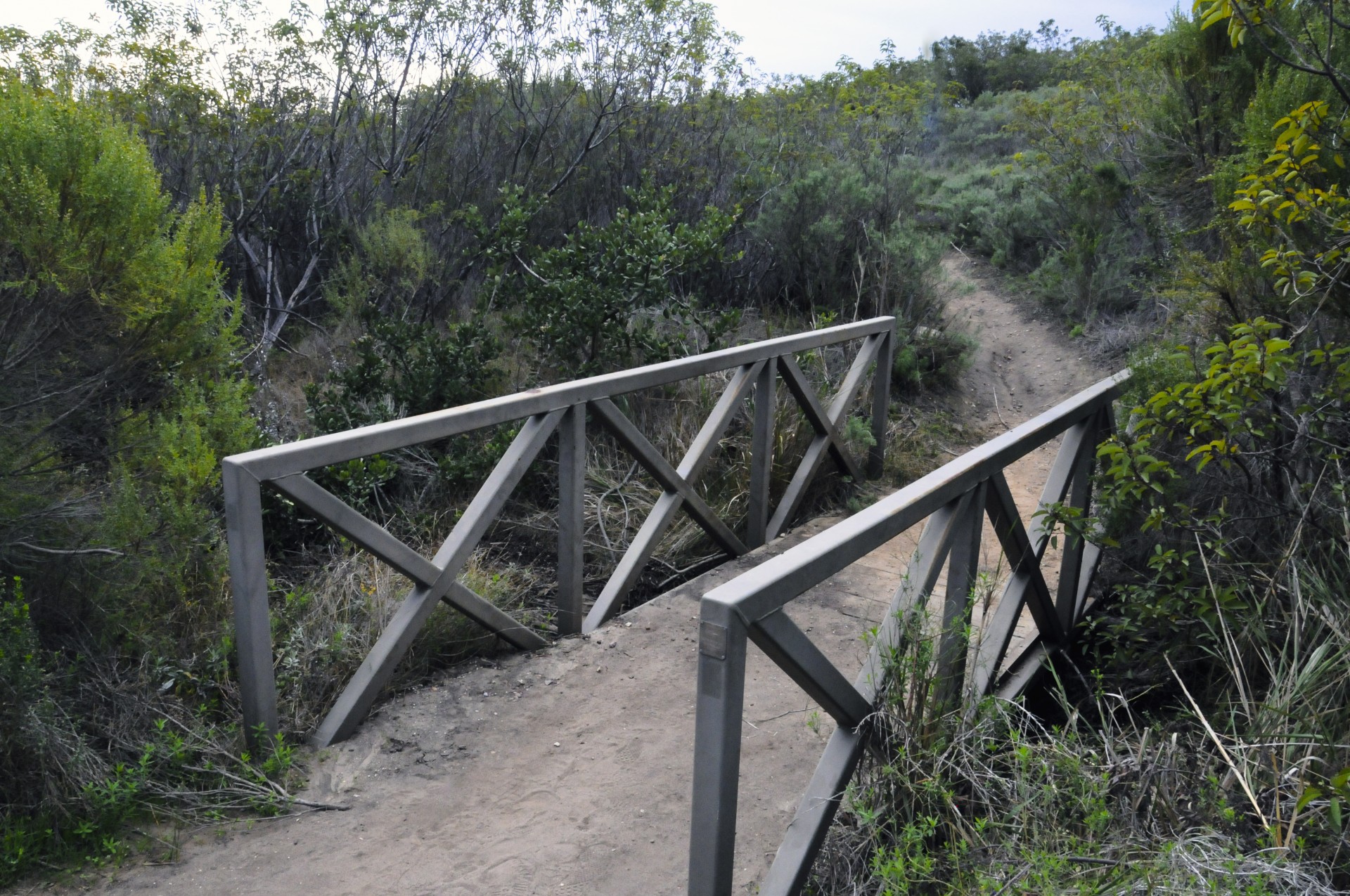 bridge wooden hiking free photo