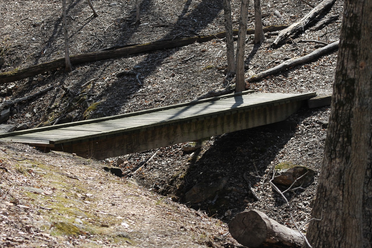 wooden bridge bridge nature free photo