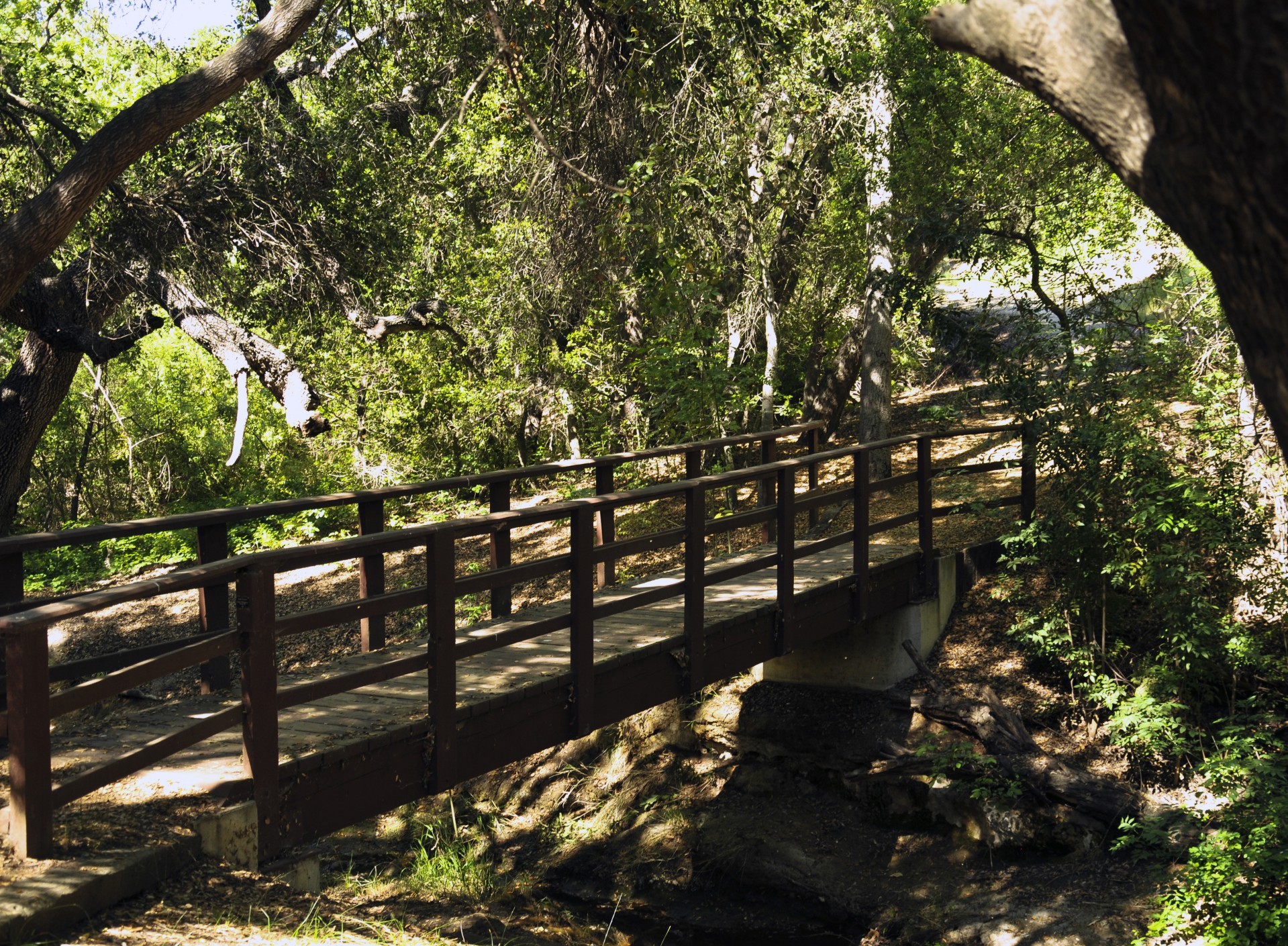 Bridge Wood Wooden Botanical Garden Green Free Image From