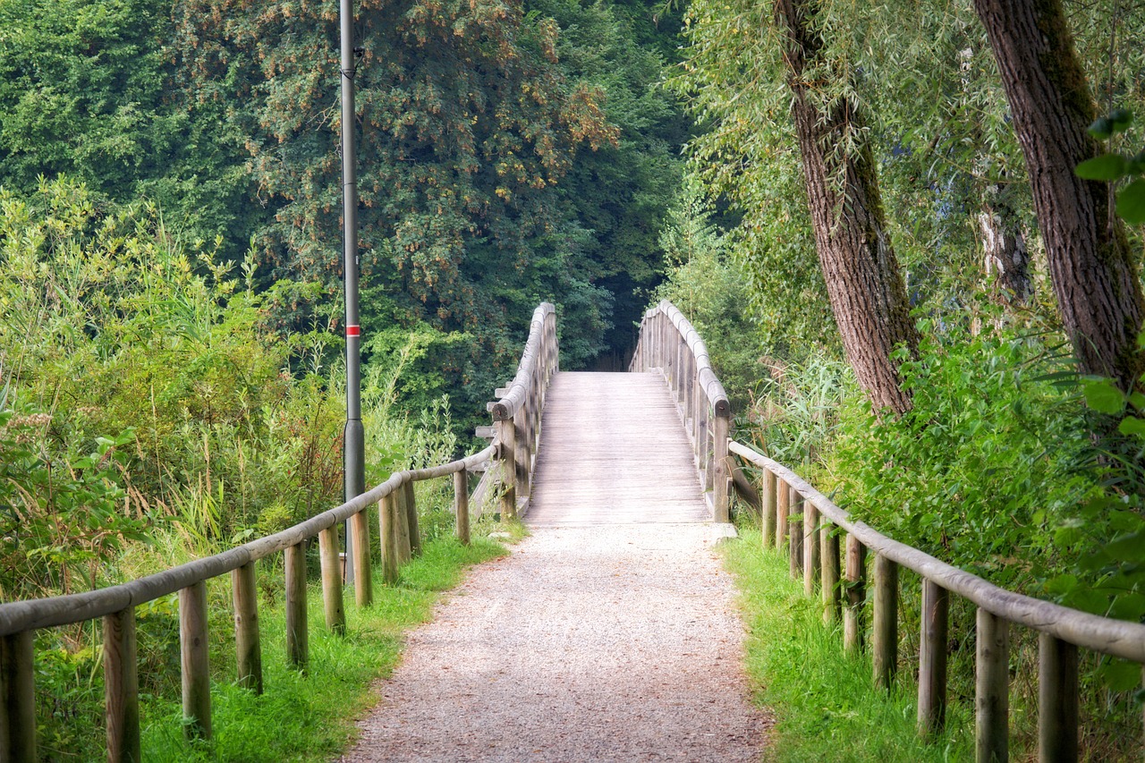 wooden bridge bridge transition free photo