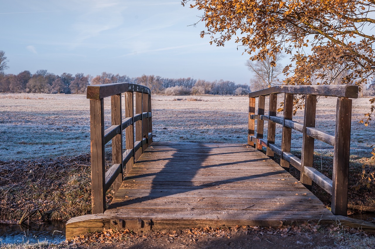 wooden bridge meadow ripe free photo