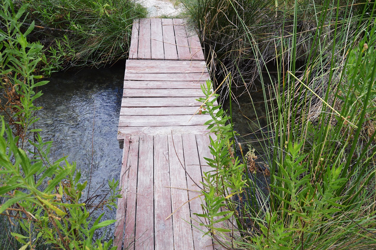 wooden bridge wooden boards wood free photo