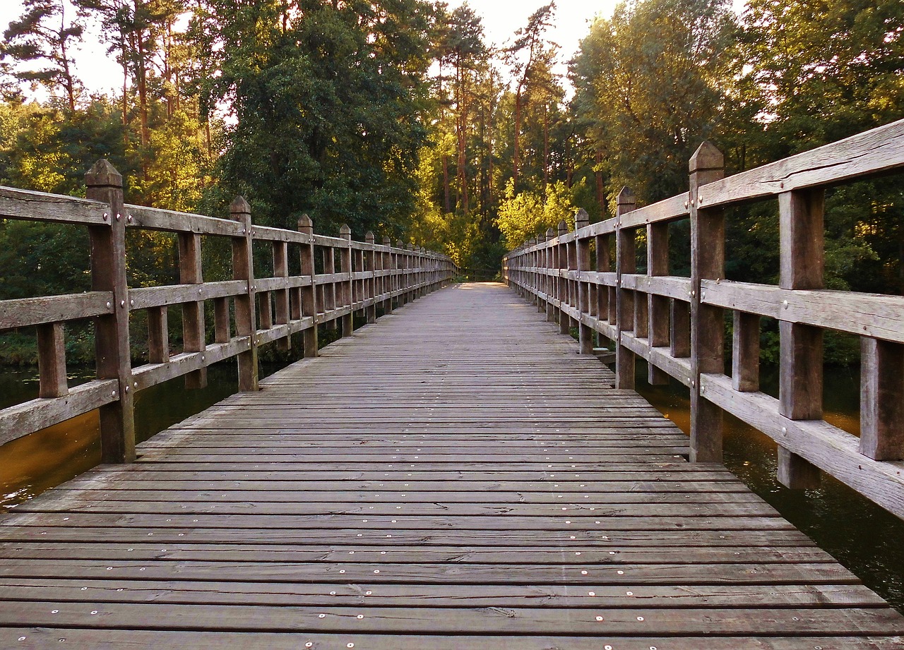 wooden bridge away wooden boards free photo