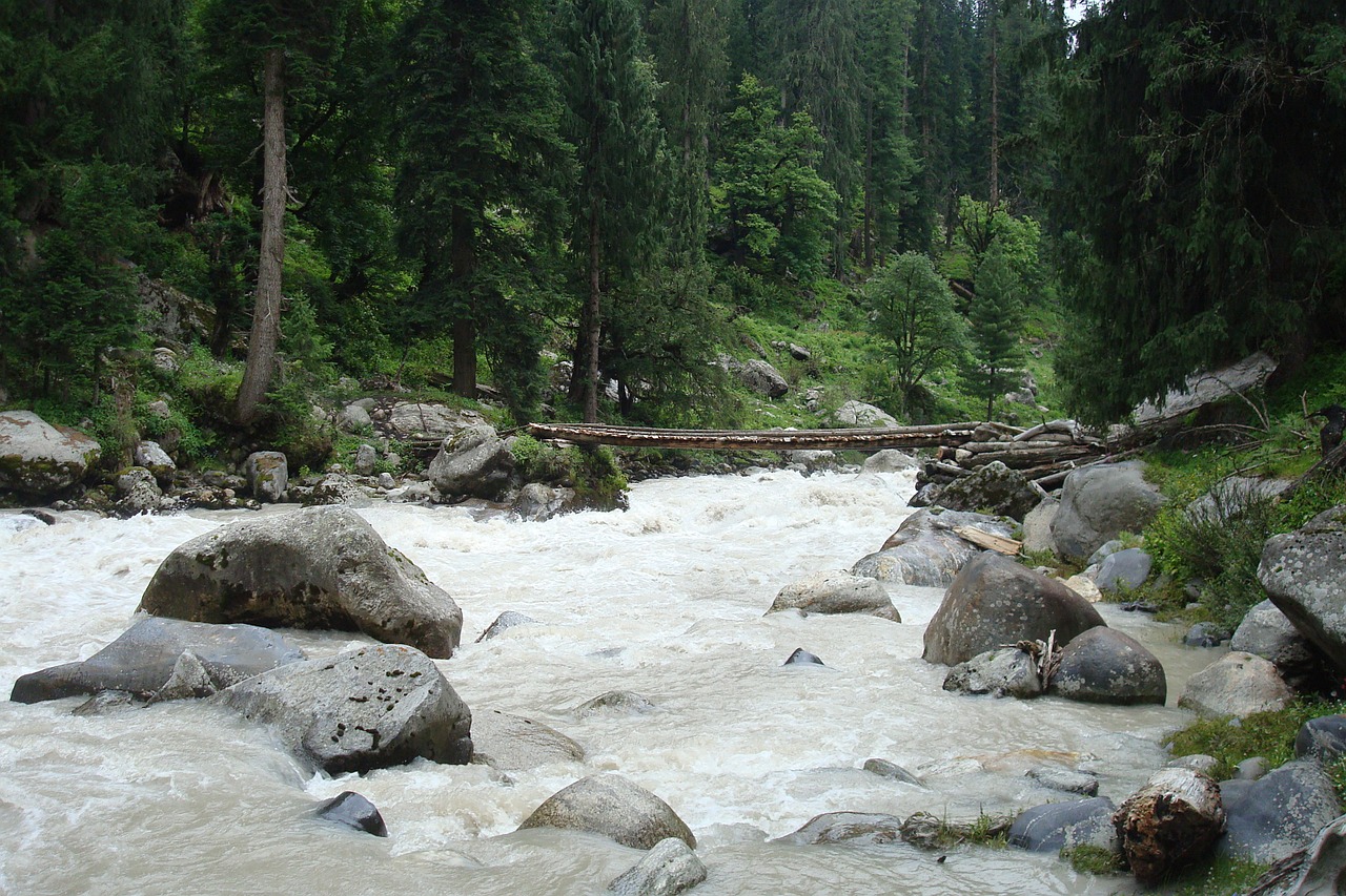 wooden bridge river bridge free photo