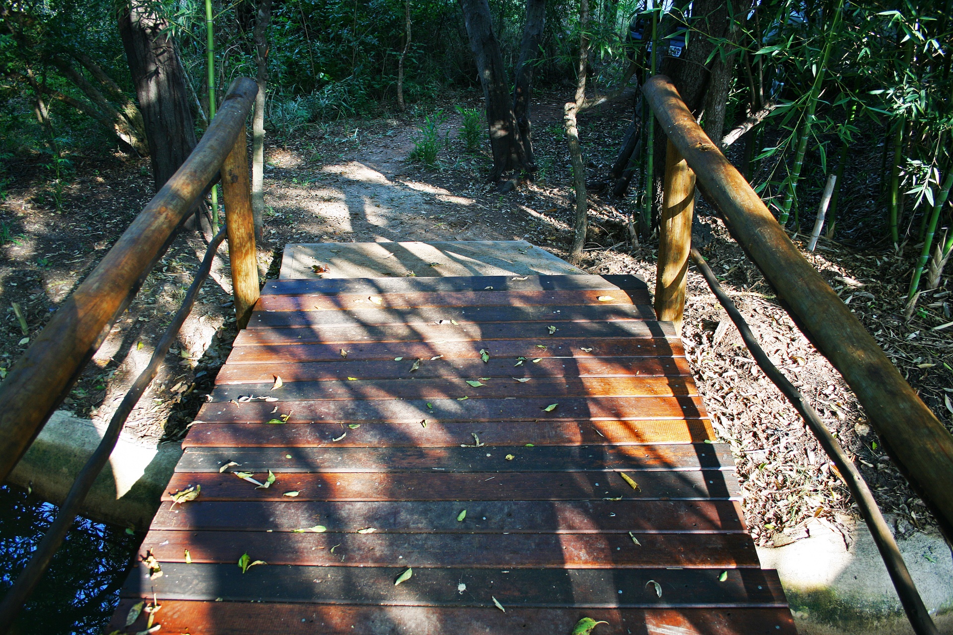 bridge wooden stream free photo