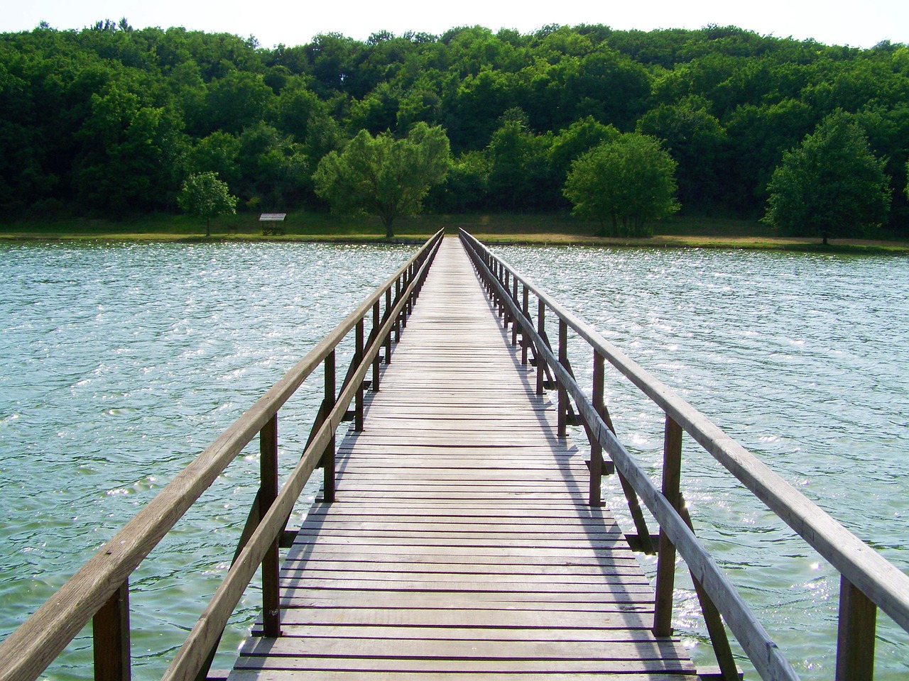 wooden bridge over the pond erdősmároki pond hungary free photo