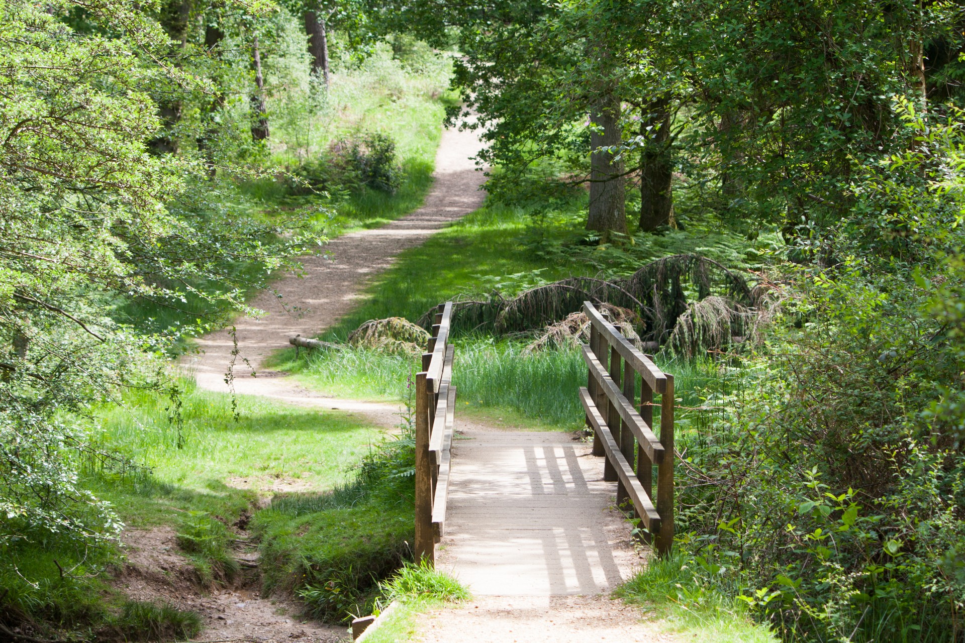 bridge wooden wood free photo