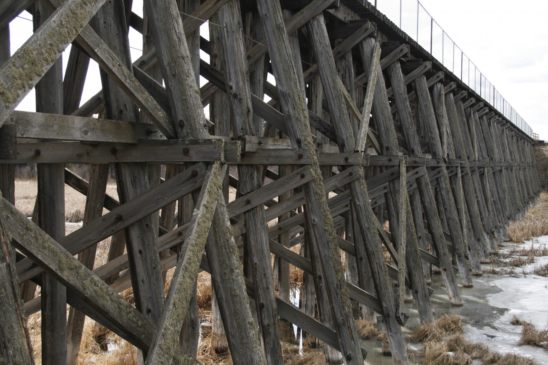 wooden bridge trusses free photo