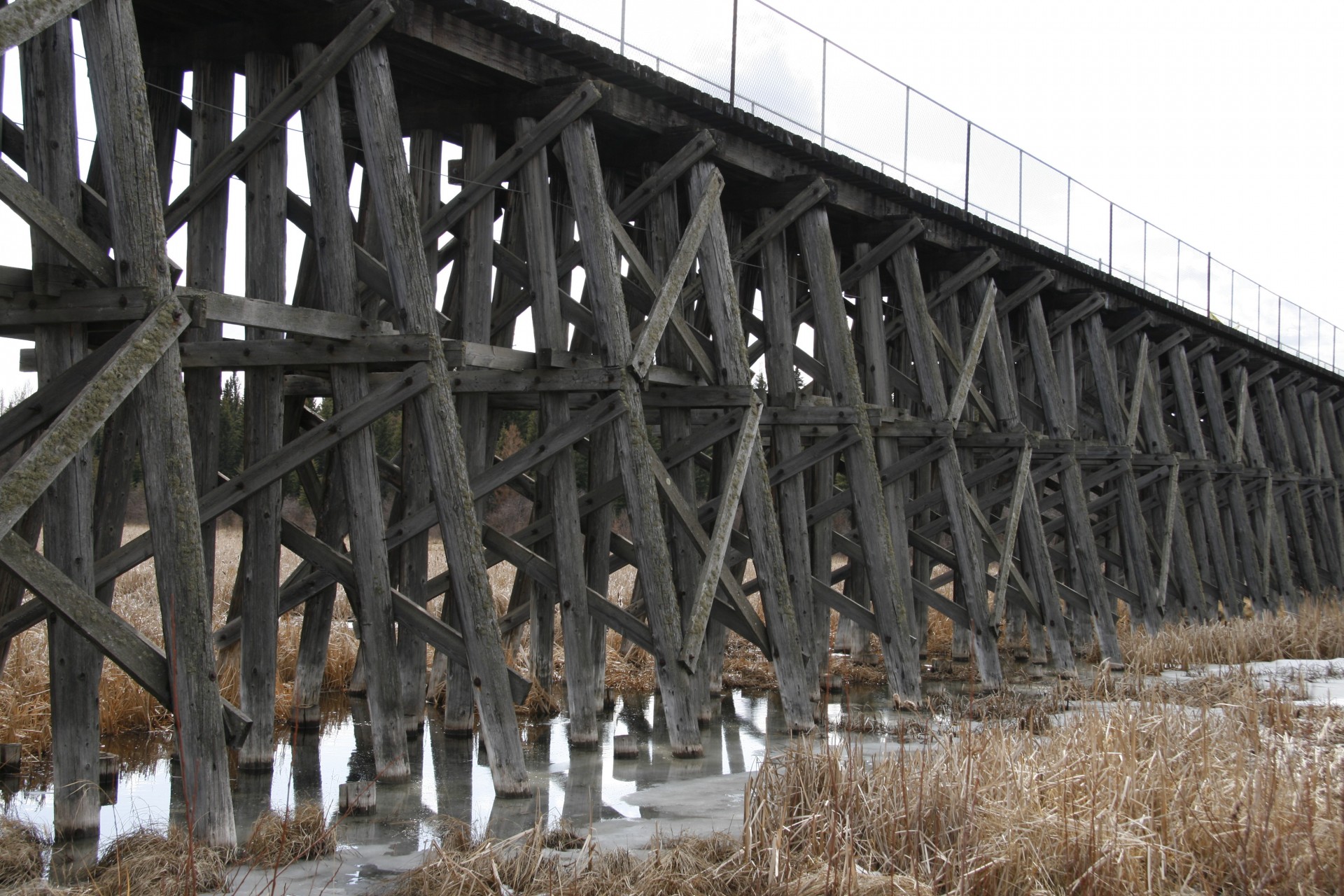 wooden bridge trusses free photo