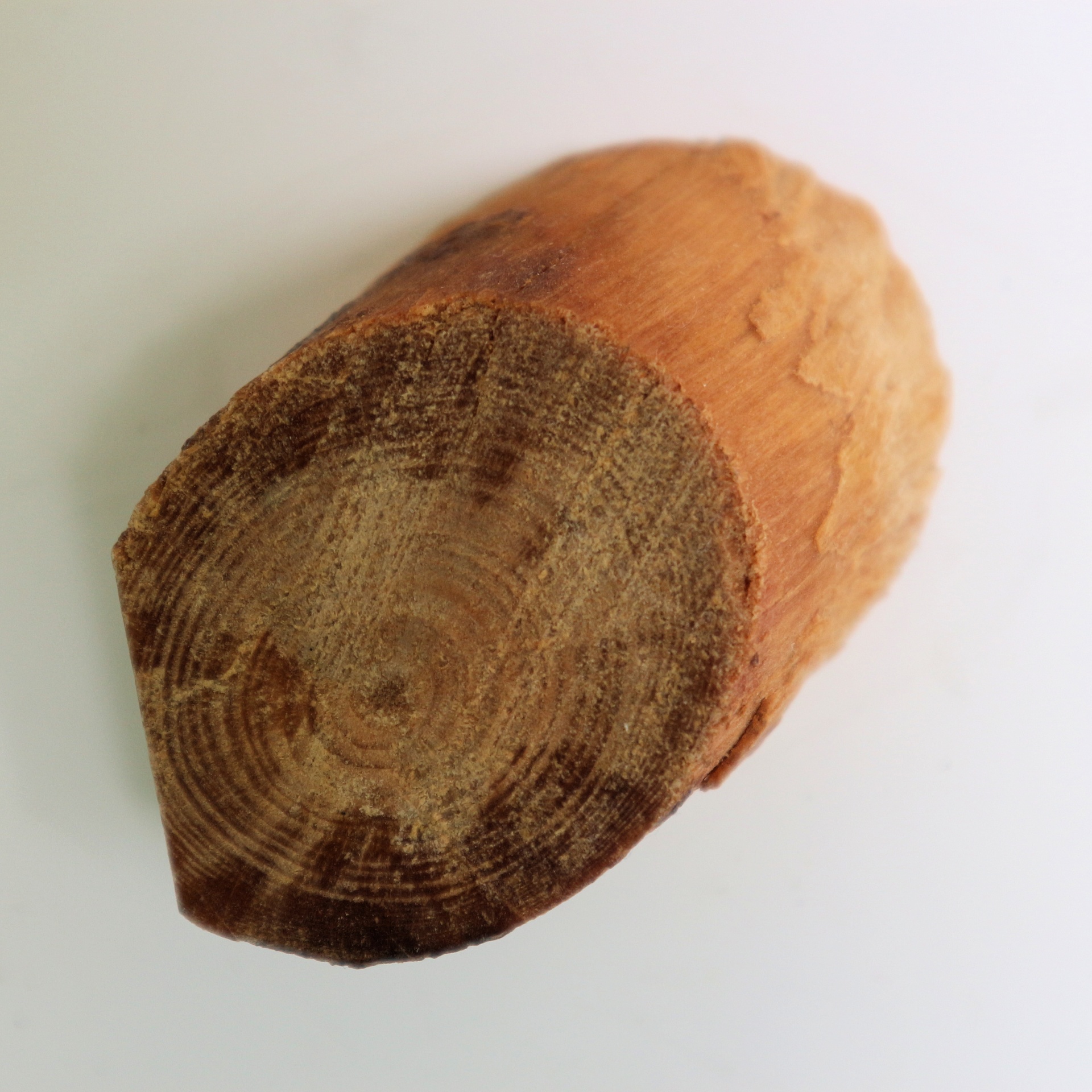 wooden burl isolated free photo