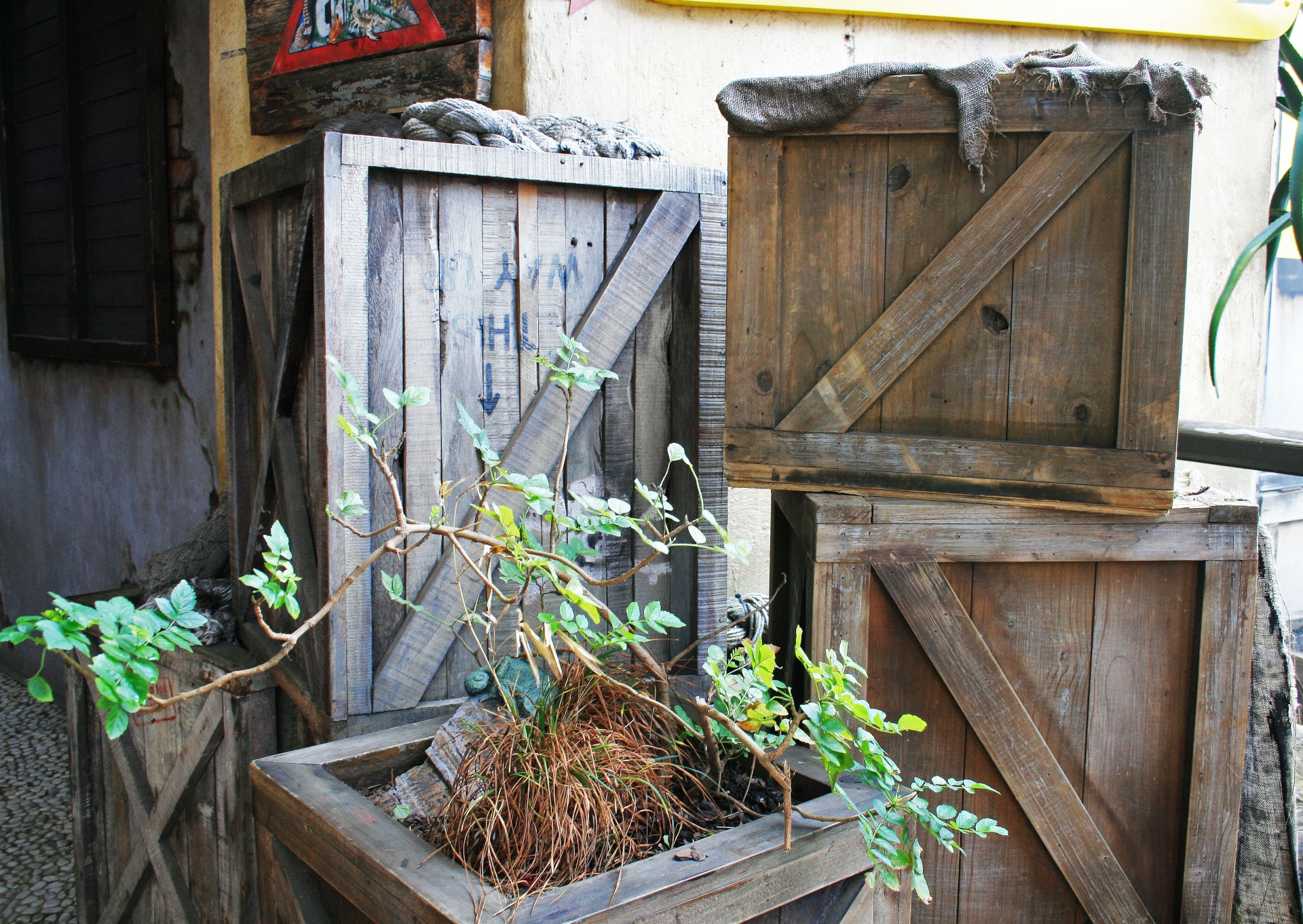 crates boxes wood free photo