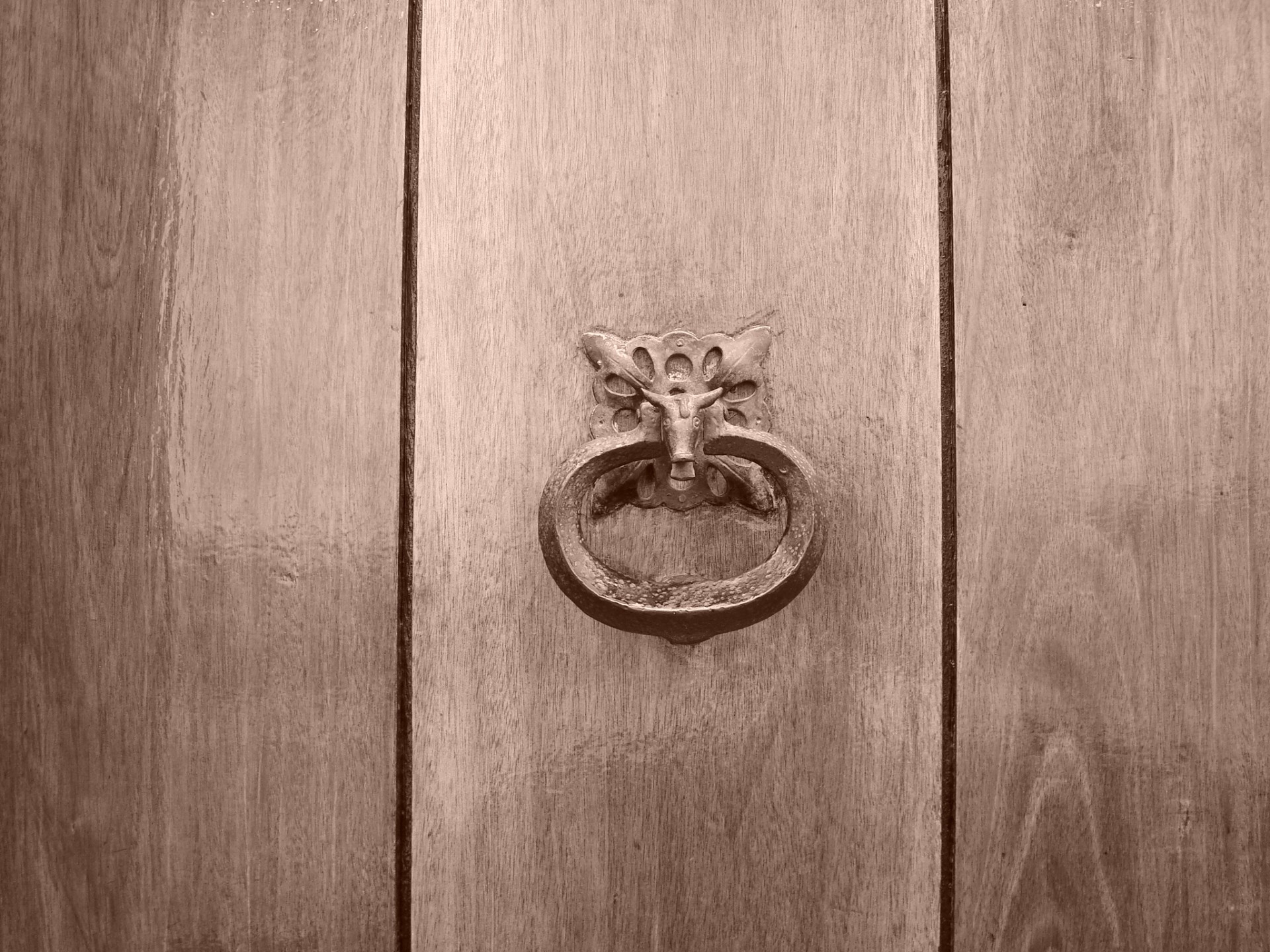 wooden door door wood free photo