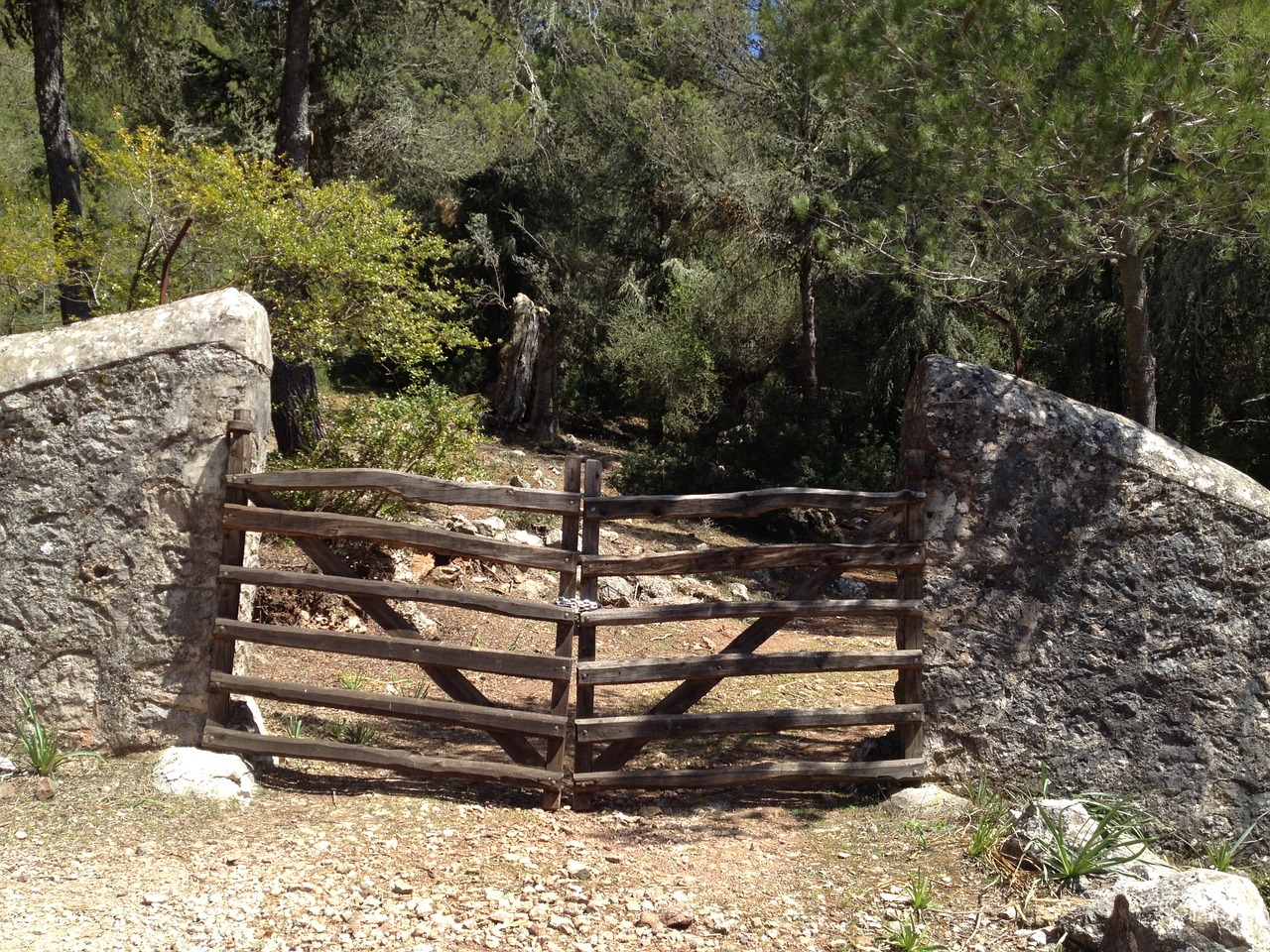 wooden door romance wild free photo