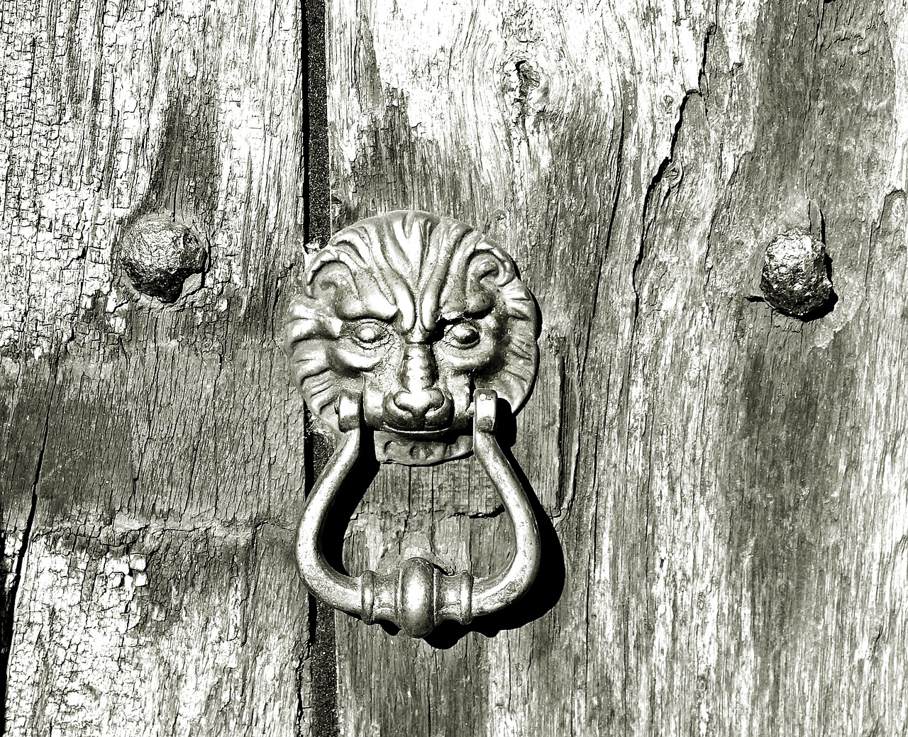 wooden door old wooden door doorknocker free photo