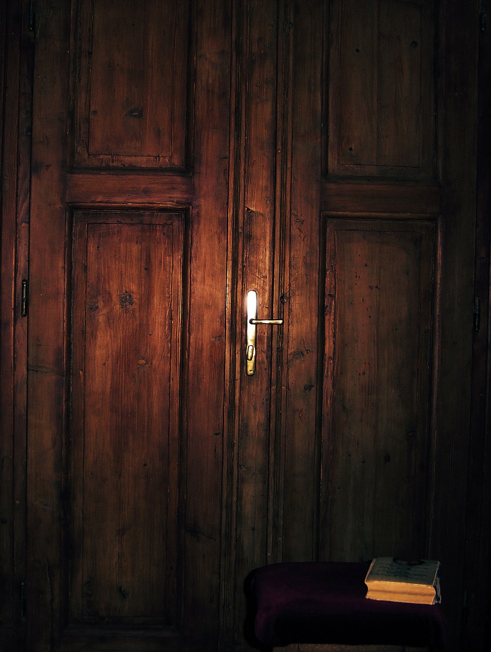 wooden door entrance inside free photo