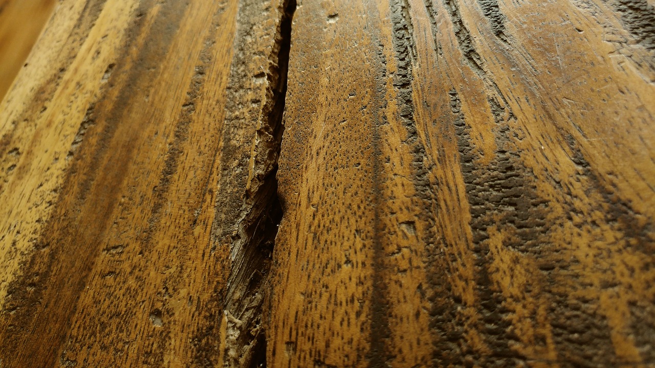 wooden door cracked old wood free photo