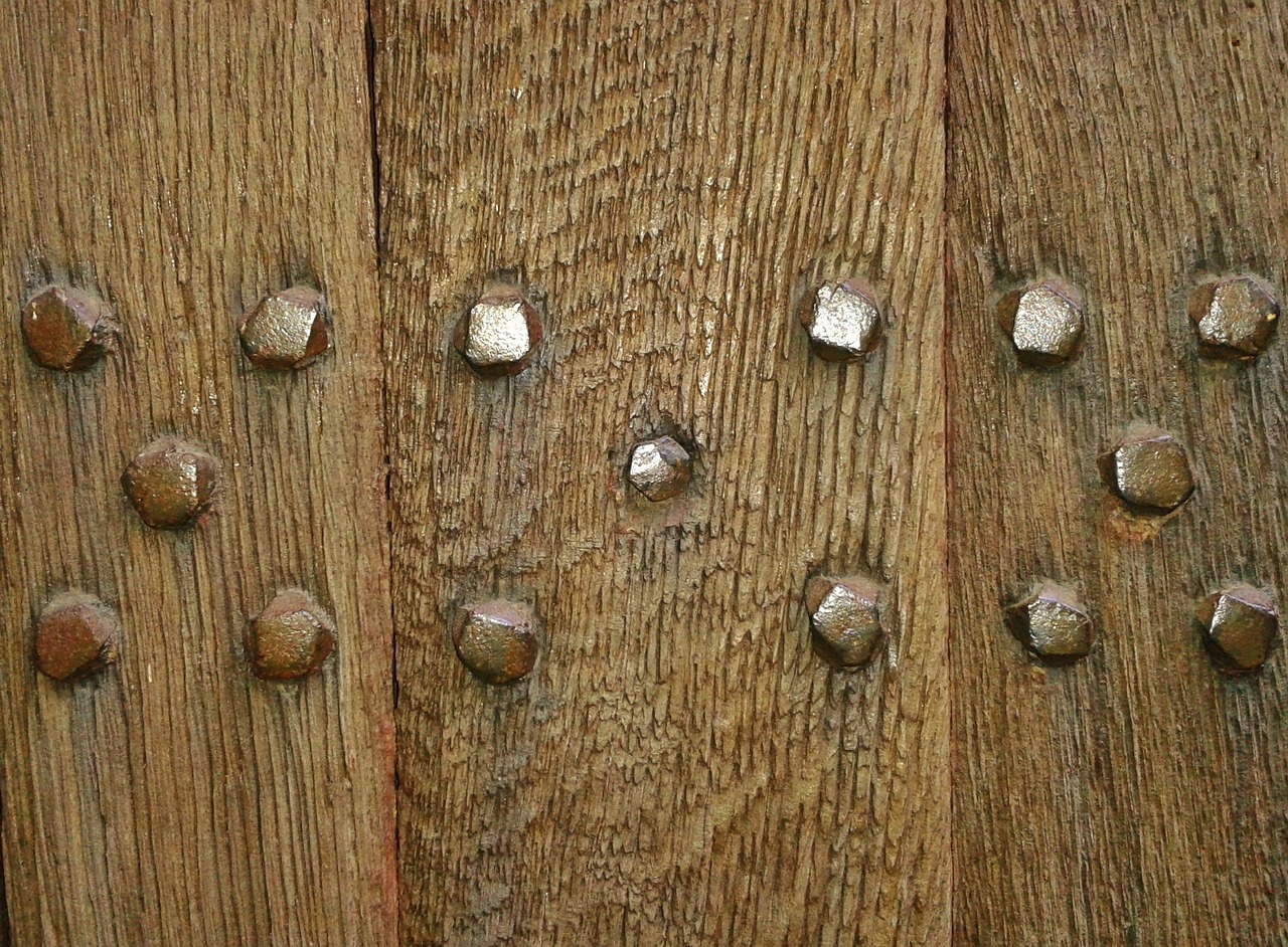 wooden door door input free photo