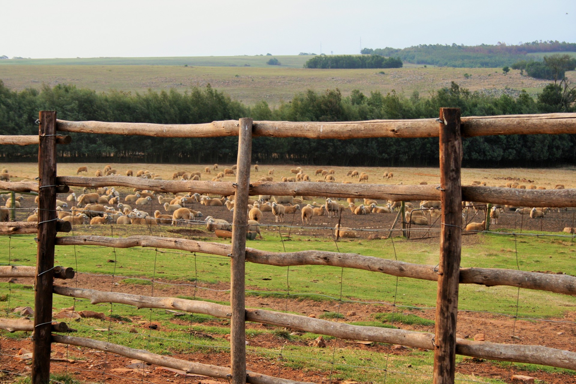 fence wooden farm free photo