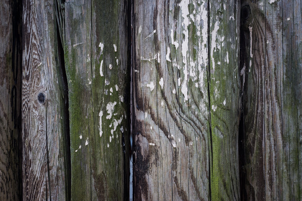 wooden fence wood barrier free photo