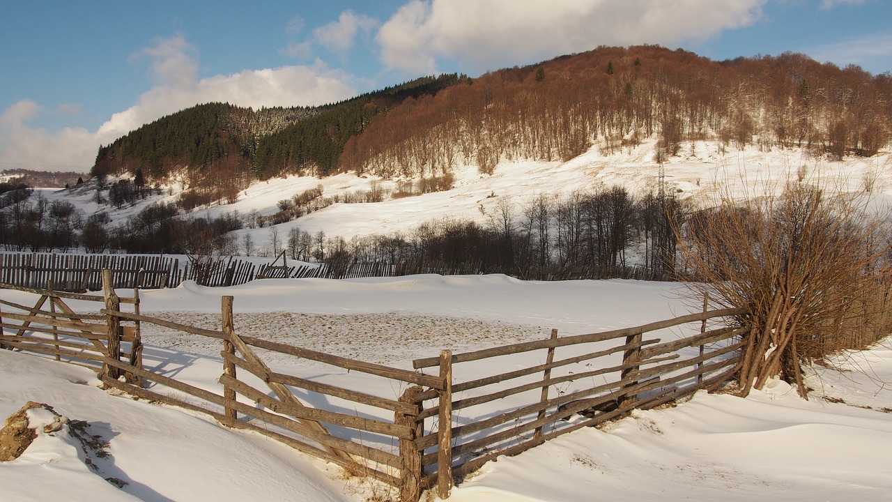 wooden fence snow winter free photo