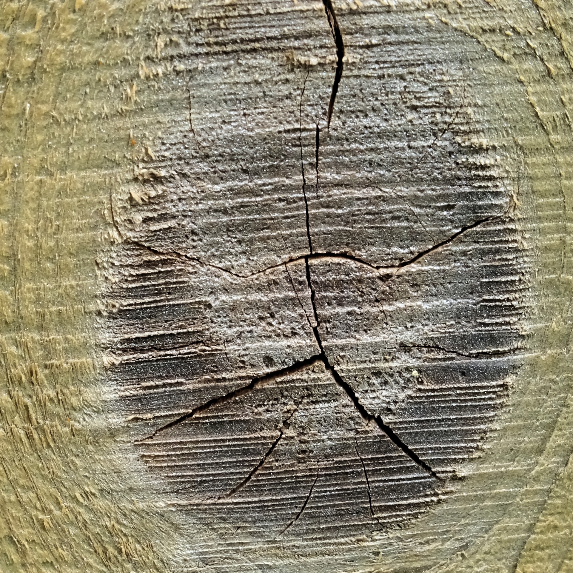 wood wooden fence free photo