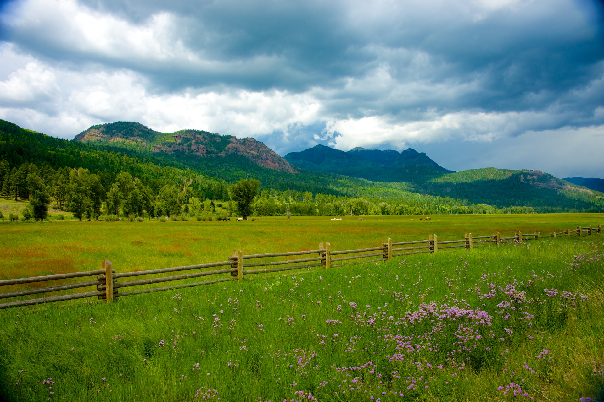 colorado farm fence free photo